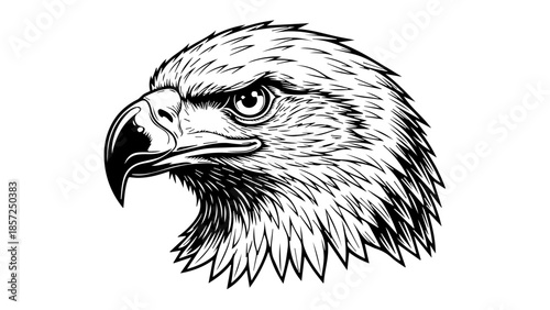 Vector illustration of a wild eagle head with a sharp beak and predator eye isolated on white, featuring black feather details for a nature-inspired animal tattoo or falcon portrait symbol