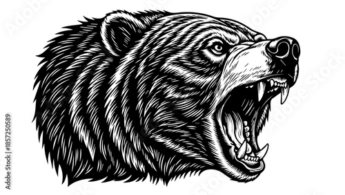 Vector illustration of a wild black bear head and mammal silhouette featuring a tribal tattoo sketch design for a powerful nature logo