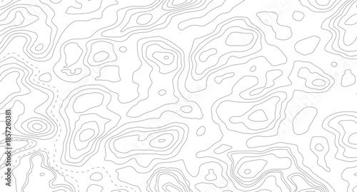Vector geographic contour map. Background of the topographic map. Topography background. Vector banner. Topography map background.