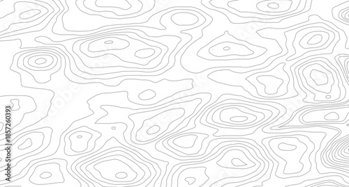 Topography background. Vector banner. Topography map background. Vector geographic contour map. Background of the topographic map.