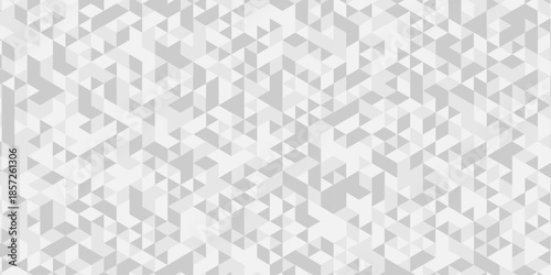 Abstract low polygon cubic white, gray design. vector poly triangle texture geometric pattern triangular. geometric wall tile metal cube background triangle wallpaper design.