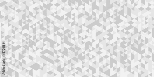 Abstract low polygon cubic white, gray design. vector poly triangle texture geometric pattern triangular. geometric wall tile metal cube background triangle wallpaper design.
