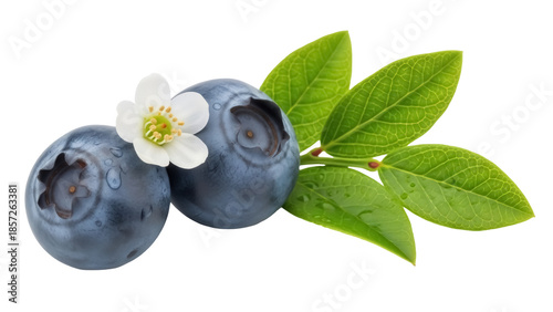Canvas Print Two blueberries with flower and leaves PNG isolated on transparent background, f