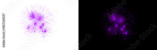 Fotografie Stunning vibrant purple fireworks display with transparent background and an alt