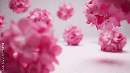 Floating Floral Fantasy: Delicate pink blossoms dance in mid-air, creating a dreamy and ethereal composition. Capturing the pure essence of spring's gentle touch and floral bliss.