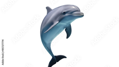 Fotografi Realistic bottlenose dolphin PNG isolated on transparent background, marine mamm