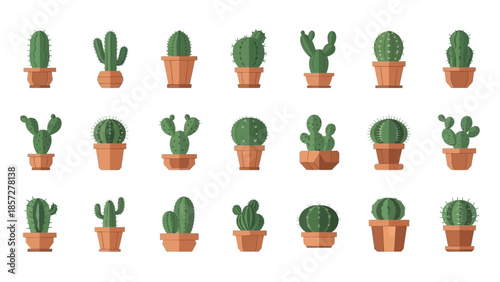 Collection of Various Cacti in Pots.