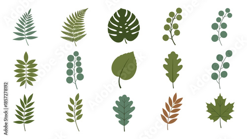 Collection of Various Green Leaves and Foliage.