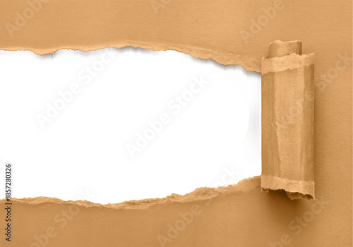 paper ripped without a background