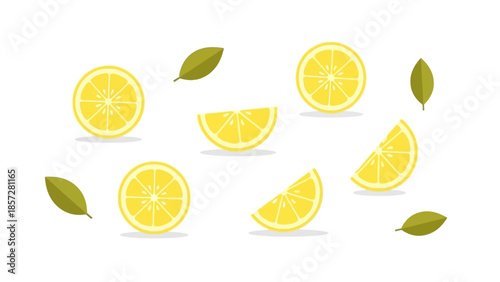Collection of Citrus Fruit Wedges and Segments for Summer Design Projects