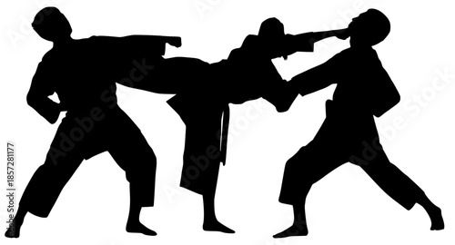Action silhouettes of three martial artists performing karate kicks and punches. Minimalist black and white graphic for combat sports, fitness training, and self-defense concepts.