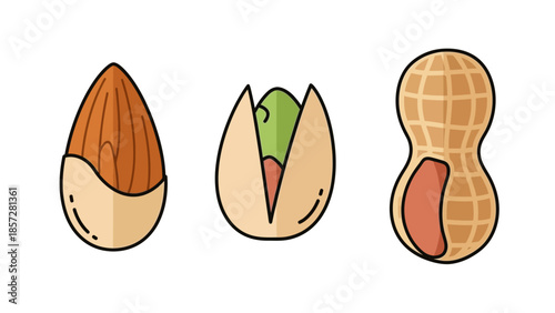 Collection of Flat Style Nut Elements for Healthy Snack Food Design
