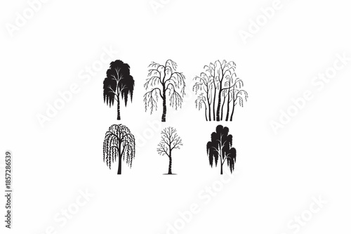 Paper Birch tree vector silhouettes black image with white color back round.