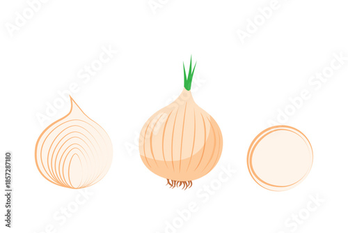 Golden onion logo. Golden onion isolated on white background.