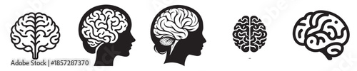 vector set of silhouette brain organs