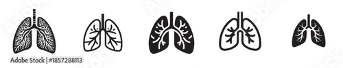 vector set of lung organs silhouettes