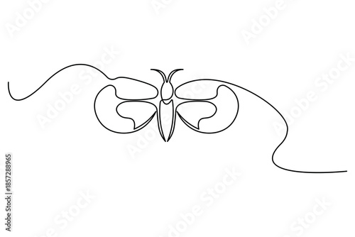 Butterfly continuous line art wide winged silhouette sketch for nature decoration