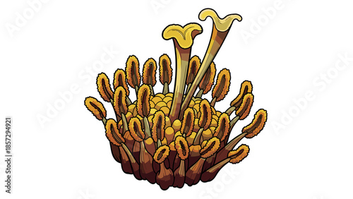 Cluster of Mushrooms with Long Stems.