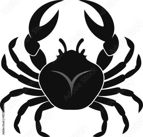 crab minimal flat icon , black color and white background