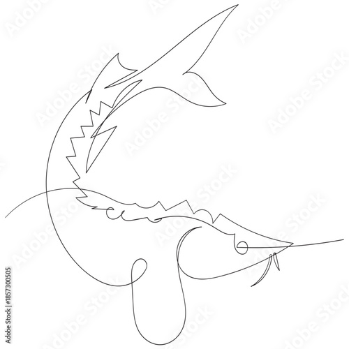 Minimalist Sturgeon Continuous Line Drawing Fish Vector Illustration