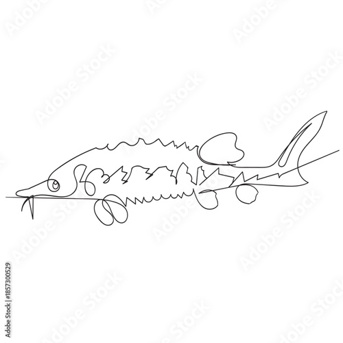 Minimalist Sturgeon Continuous Line Drawing Fish Vector Illustration