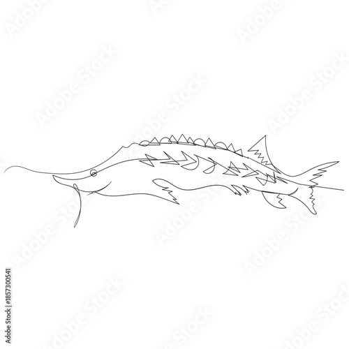 Minimalist Sturgeon Continuous Line Drawing Fish Vector Illustration