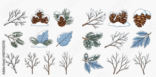 Winter branches and leaves with snow, vector set of natural elements for seasonal design.