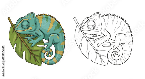Chameleon on leaf - Artistic Illustration: A vibrant chameleon and its outlined counterpart perch delicately on a tropical leaf.