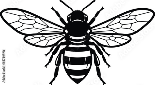 Symmetrical honey bee top view, insect with open wings, nature symbol for logo, black icon, cad drawing flat vector illustration