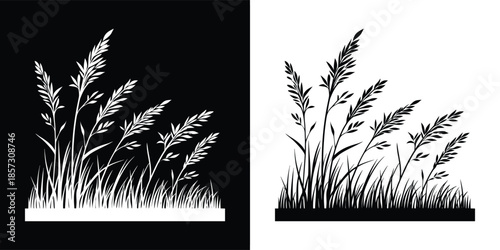A serene grass illustration with delicate details, capturing the essence of nature isolated on white background, perfect for adding an organic touch