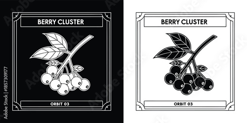 A captivating berry cluster illustration presented in both black and white versions, each framed with a decorative border, perfect for design projects