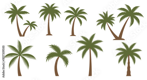 Decorative palm tree silhouettes vector collection isolated on white background for tropical design