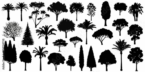 A collection of diverse tree silhouettes against a plain white background