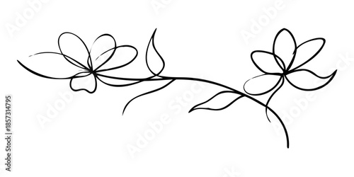 Delicate floral vine illustration in a minimalist monochromatic style