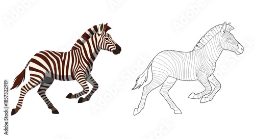 Striking Zebra Duo: A pair of vibrant zebra illustrations, one in full color and the other in grayscale, showcase the elegant stride and distinctive striped pattern of these magnificent animals.