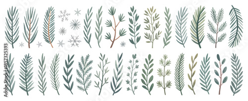 Christmas Winter Plants Set – Hand Drawn Pine, Spruce, Fir, and Cedar Evergreen Branches Holiday Vector Illustration Isolated on White