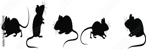 A Five-Panel Set of Highly Detailed Black Silhouettes of Mice in Various Natural Poses, Including Foraging, Standing, and Running, on a White Background.