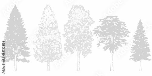 A grayscale depiction of several coniferous and deciduous trees in a row