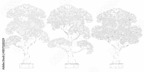 Three grayscale trees with detailed foliage and simple rectangular bases