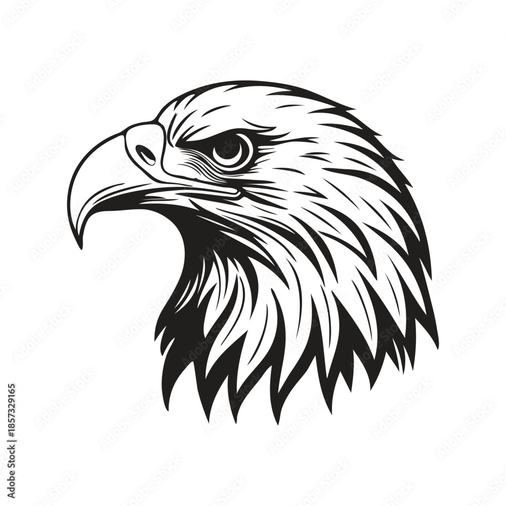 Obraz premium Eagle Head Logo Vector