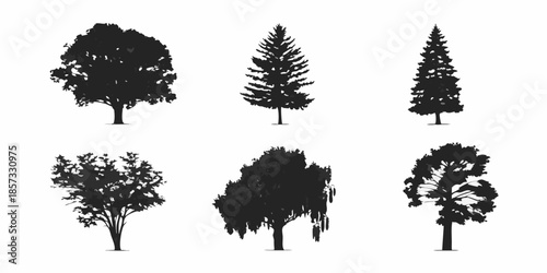 Silhouettes of various tree types against a plain white background
