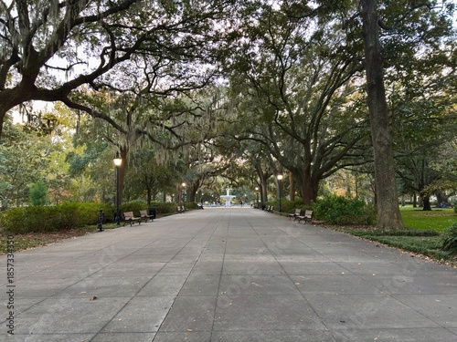 Photography Pathway through Savannah's Forsyth Park toward historic white fountain