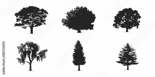 Silhouettes of various trees oak willow pine and cypress illustrations