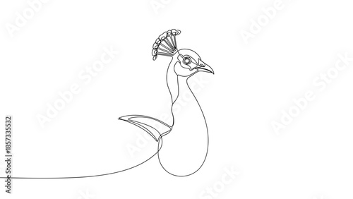 Line art illustration of a peacock with ornate feathers  