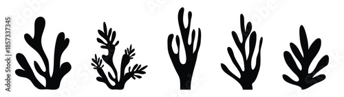 Organic seaweed and coral silhouettes in black; abstract underwater plant shapes, minimalist aquatic leaf collection; modern vector illustration set
