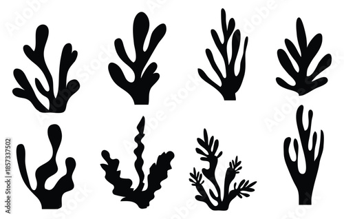 Organic seaweed and coral silhouettes in black; abstract underwater plant shapes, minimalist aquatic leaf collection; modern vector illustration set