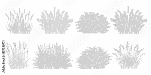 Silhouettes of various shrubs and grasses against a white background