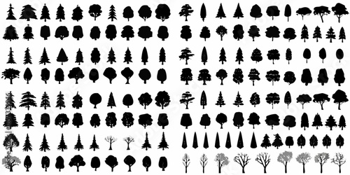 A dense collection of silhouette trees in various shapes and sizes