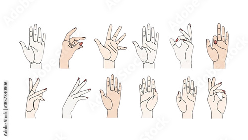 Various Hand Gestures Illustrated in Different Positions and Angles