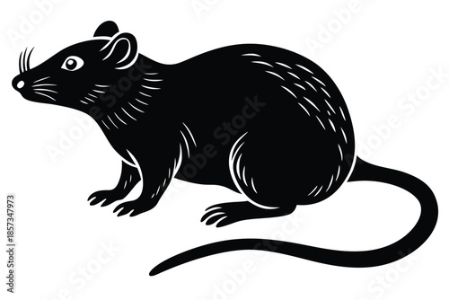 rat vector icon silhouette